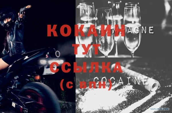 бошки Бородино