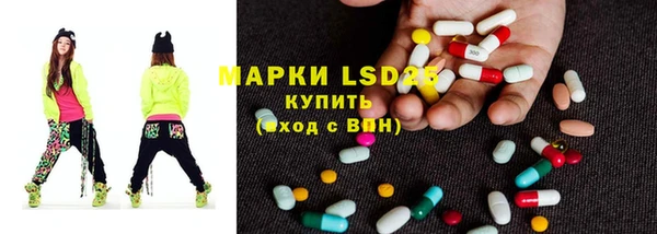 spice Няндома