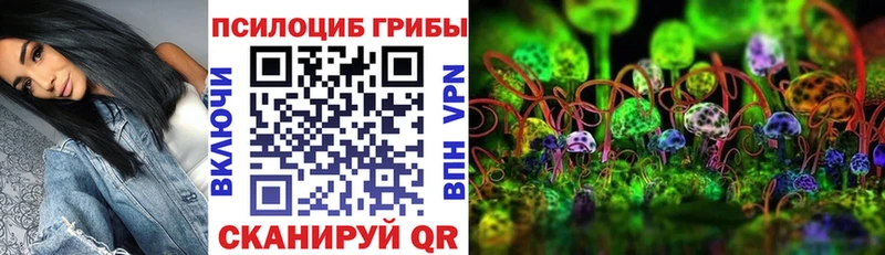 Псилоцибиновые грибы мухоморы  блэк спрут tor  Верхняя Пышма 